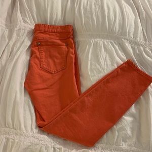 Free People Burnt Orange Skinny Jean
